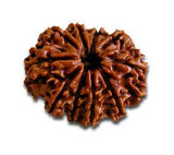 Ten (dus) Mukhi Rudraksha (with silver capping) - OnlinePrasad.com