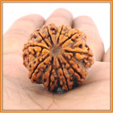 Ten (dus) Mukhi Rudraksha (with silver capping) - OnlinePrasad.com