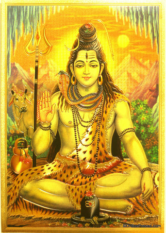 The Shiva Meditating Golden Poster - OnlinePrasad.com