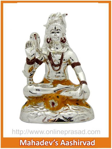 The Mahadev's Aashirvad Idol - OnlinePrasad.com