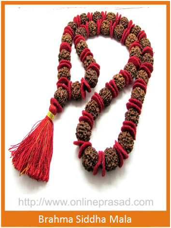 4 Mukhi Rudraksha kantha / Brahma Siddha Mala - Nepali - OnlinePrasad.com