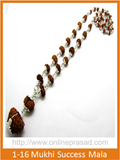 1-16 Mukhi Gauri Shankar & Ganesh Rudraksha Mala / Success Mala - OnlinePrasad.com
