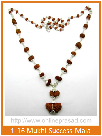 1-16 Mukhi Gauri Shankar & Ganesh Rudraksha Mala / Success Mala - OnlinePrasad.com