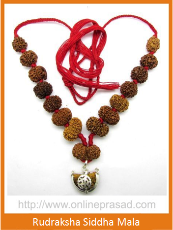 Rudraksha Siddha Mala / 1-14 Mukhi Gauri Shankar & Ganesh Rudraksha with Silver Capping - Nepali - OnlinePrasad.com