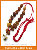 Rudraksha Siddha Mala / 1-14 Mukhi Gauri Shankar & Ganesh Rudraksha with Silver Capping - Nepali - OnlinePrasad.com