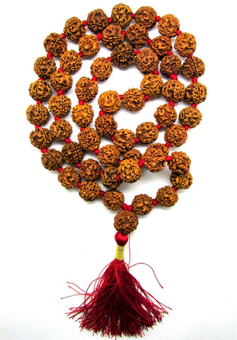 6 Mukhi Rudraksha Kantha / Kartikeya Siddha mala - 55 Nepali beads - OnlinePrasad.com