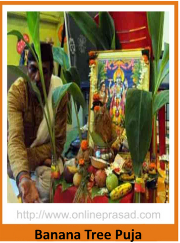 Banana Tree Puja - OnlinePrasad.com