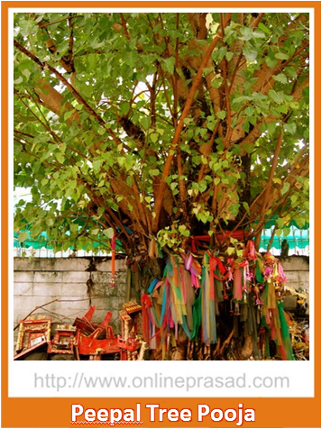 Peepal Tree Puja - OnlinePrasad.com