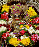 Sri Sri Lakshmi Narasimha Yagna - OnlinePrasad.com