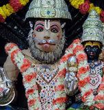 Sri Sri Lakshmi Narasimha Yagna - OnlinePrasad.com