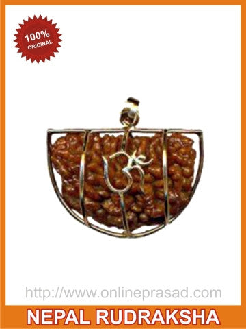 Multi Benefit - Ek Mukhi Rudraksha (with silver capping) - OnlinePrasad.com