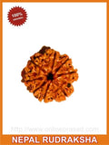 Eight (Aath) Mukhi Rudraksha (with silver capping) - OnlinePrasad.com