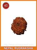 Eleven (Gyarah) Mukhi Rudraksha (with silver capping) - OnlinePrasad.com