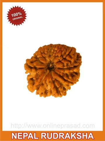 Ten (dus) Mukhi Rudraksha (with silver capping) - OnlinePrasad.com