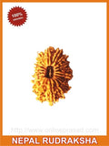 Twenty (Bees) Mukhi Rudraksha - OnlinePrasad.com