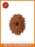 Fifteen (Pandrah) Mukhi Rudraksha (with silver capping) - OnlinePrasad.com