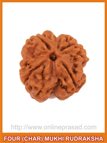 Four (Char) Mukhi Rudraksha (with silver capping) - OnlinePrasad.com