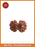 Gauri Shankar Rudraksha (with silver capping) for a Blissful married Life! - OnlinePrasad.com