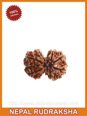 Gauri Shankar Rudraksha (with silver capping) for a Blissful married Life! - OnlinePrasad.com