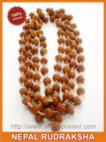 Stress Relief: 5 Mukhi Rudraksha Mala - OnlinePrasad.com