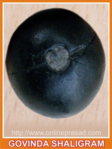 Govinda Shaligram - OnlinePrasad.com