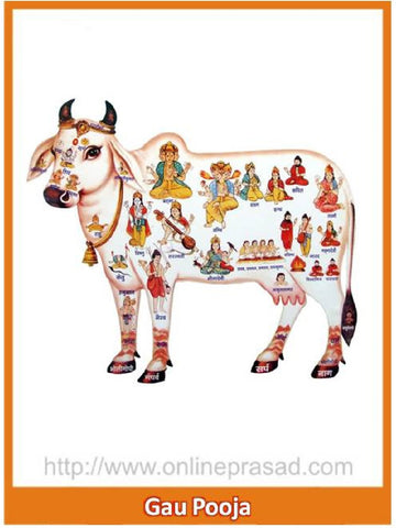 Gau Mata (Cow) Puja - OnlinePrasad.com