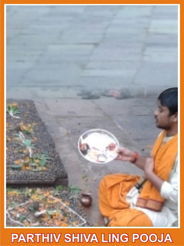 Rudra Abhishek and Parthiv Shivling Puja - OnlinePrasad.com