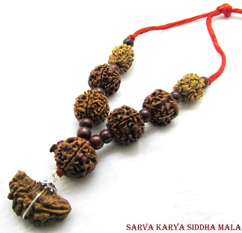 Sarva Karya Siddha Mala / 1 to 7 Mukhi & Ganesha Rudraksha Siddha Mala - OnlinePrasad.com