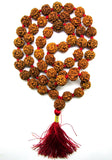 5 Mukhi Rudraksha kantha / Guru Siddha Mala - 55 Nepali beads - OnlinePrasad.com