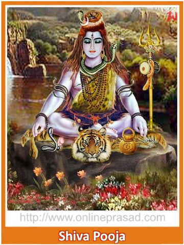 Shiva Puja - OnlinePrasad.com