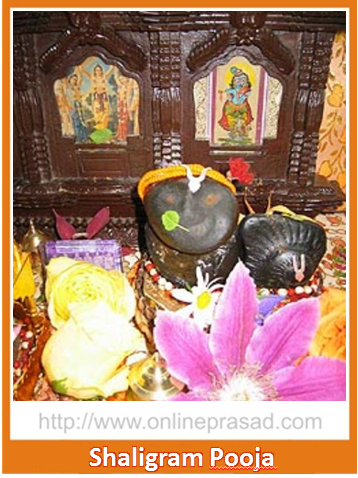 Shaligram Puja - OnlinePrasad.com