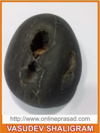 Vasudev Shaligram - OnlinePrasad.com