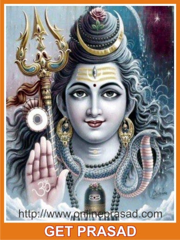 Shiva Jyotirlinga Dham Prasad - OnlinePrasad.com