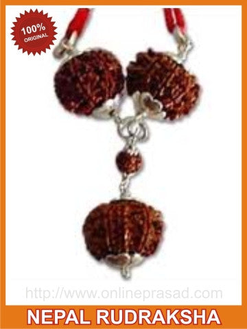 Wisdom & Good Life: 4,5,11 Mukhi Rudraksha Mala - OnlinePrasad.com