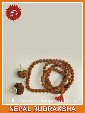 Health: 1 & 9 Mukhi Rudraksha - OnlinePrasad.com