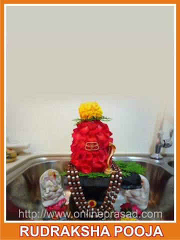 Rudraksha/Yantra Sodhan (Purification) Puja - OnlinePrasad.com