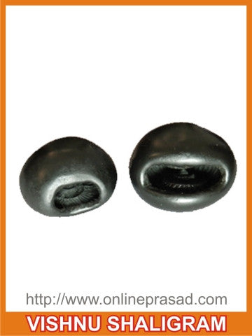 Vishnu Shaligram - OnlinePrasad.com